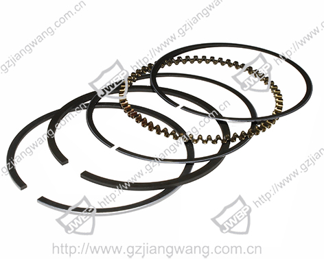 Motorcycle Piston Rings DS100 0.8x0.8x1.5 47MM